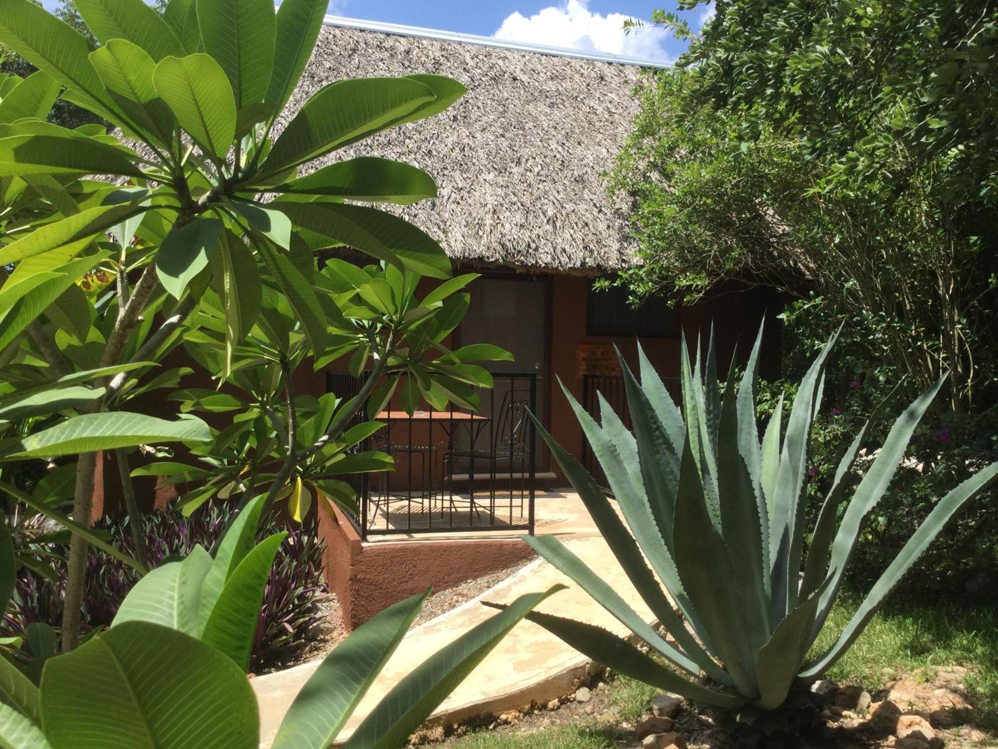 The Pickled Onion B&B And Restaurant Uxmal Santa Elena Rum bild