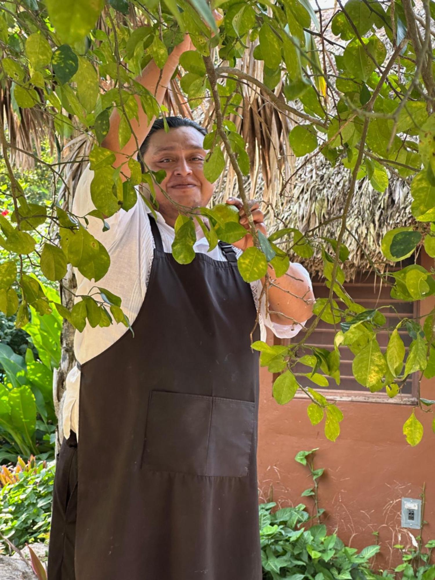 The Pickled Onion B&B And Restaurant Uxmal Santa Elena Exteriör bild