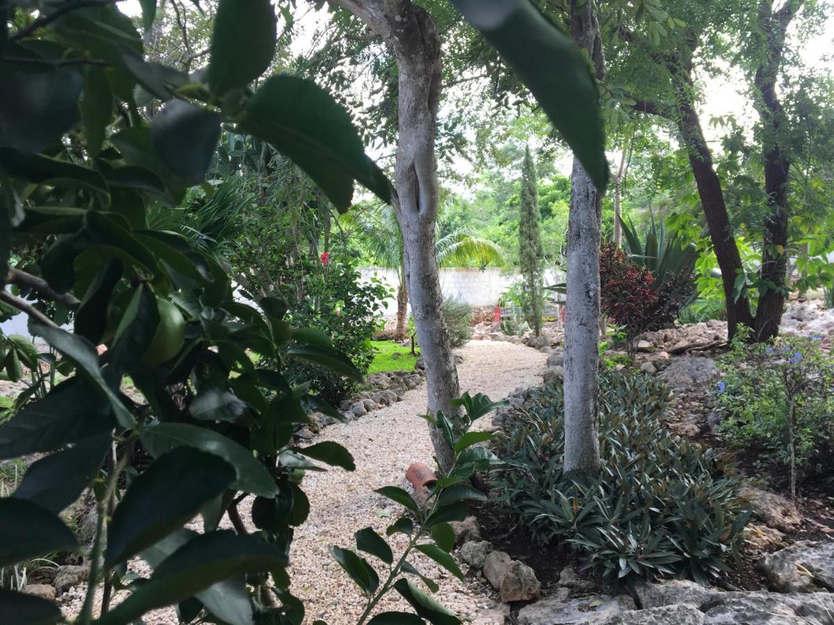 The Pickled Onion B&B And Restaurant Uxmal Santa Elena Exteriör bild