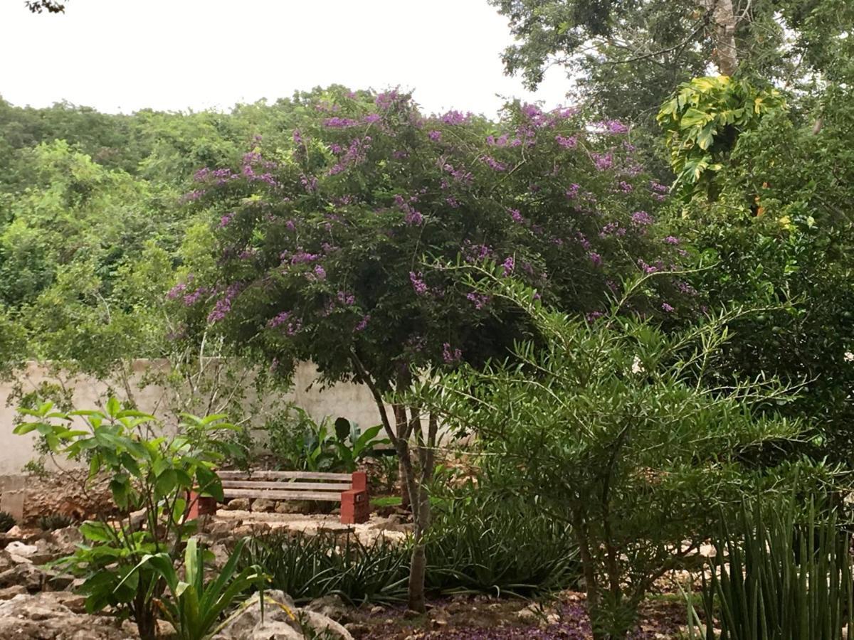 The Pickled Onion B&B And Restaurant Uxmal Santa Elena Exteriör bild